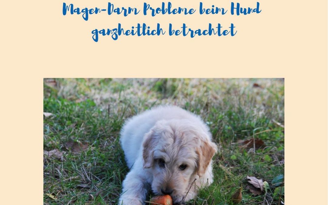 18:30 Uhr – Wenn`s im Hundebauch zwickt